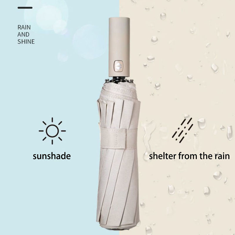 Verstärkter 24-Knochen-Regensc – Golf Umbrella Large Bewertung und Preis